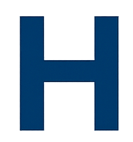 hotex-consulting.com favicon